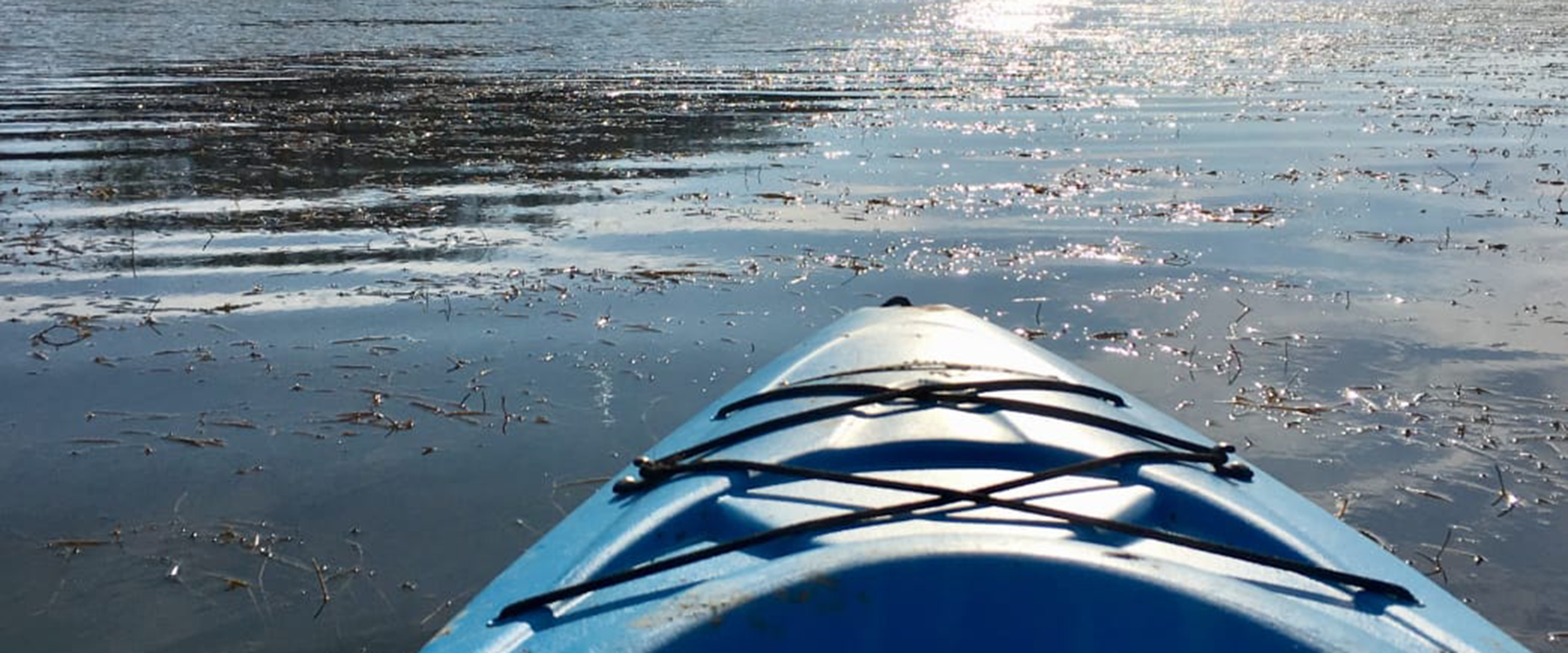 paddling Potomac river in winter